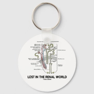 Llavero Perdido en el mundo renal (riñón Nephron)