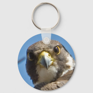 Llavero Peregrine Falcon Keychain