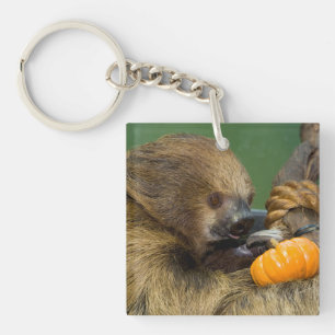Llavero Pereza con la calabaza