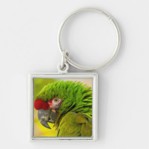 Llavero Perfil de guacamayo en el zoológico de Santa Bárba