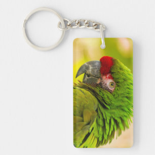 Llavero Perfil de guacamayo en el zoológico de Santa Bárba