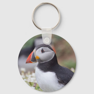 Llavero Perfil de Puffin en la isla Skomer