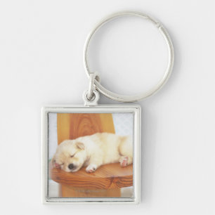 Llavero Perrito