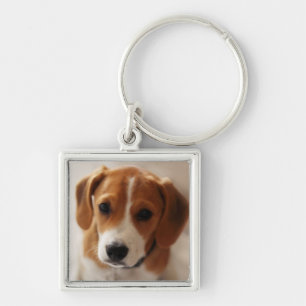 Llavero Perrito 2 del beagle