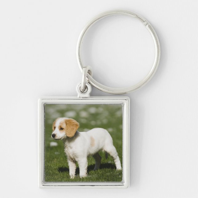 Llavero Perrito 3 (Frente)