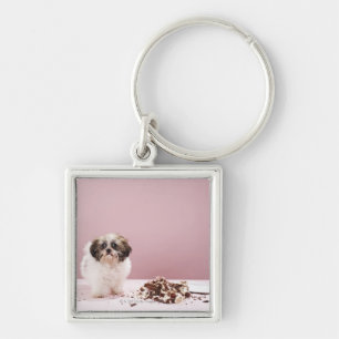 Llavero Perrito con la torta en piso