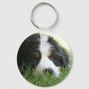 Llavero Perrito de Bernese