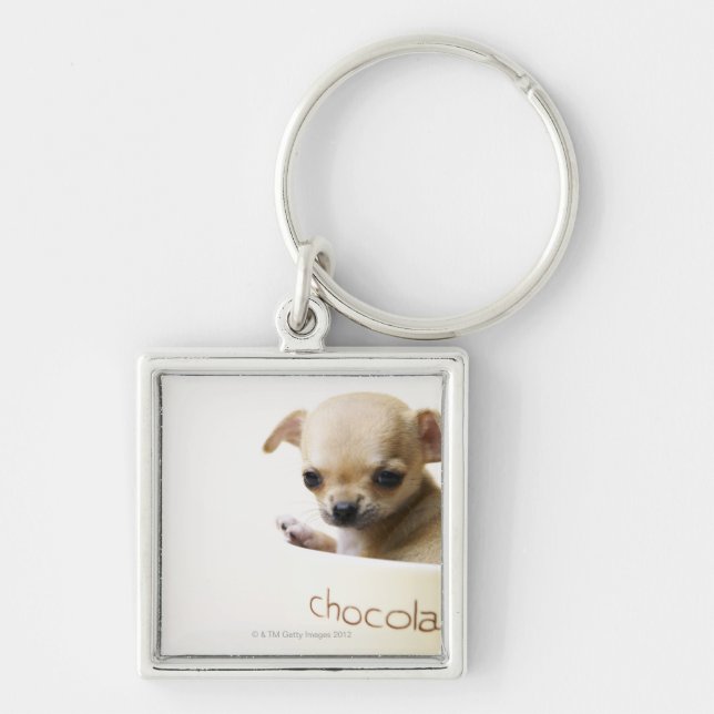 Llavero Perrito de la chihuahua en el cuenco (cosechado) (Frente)