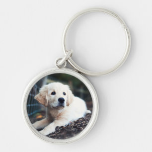 Llavero Perrito de Labrador que juega en el jardín