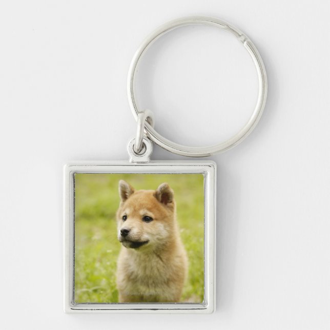 Llavero perrito de Shiba-ken (Frente)