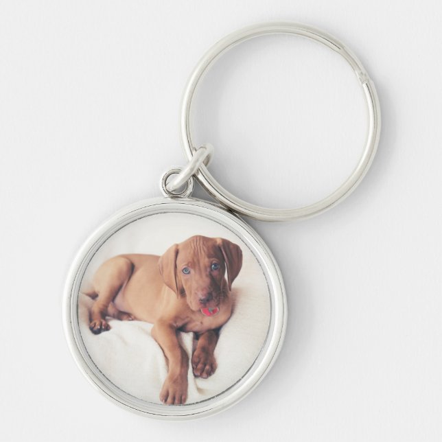 Llavero Perrito de Vizsla del húngaro (Frente)