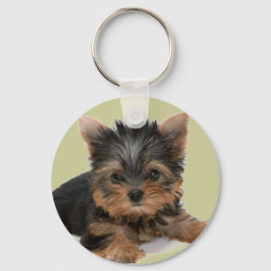 Llavero Perrito de Yorkie