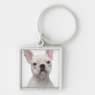 Llavero Perrito del bulldog francés (5 meses)