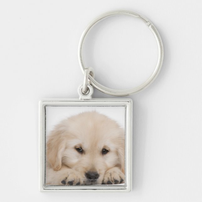 Llavero Perrito del golden retriever (Frente)