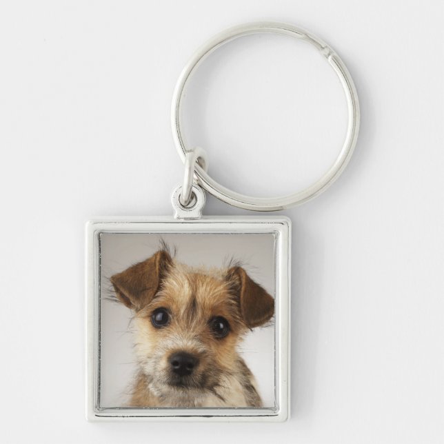 Llavero Perrito (familiaris del Canis) (Frente)