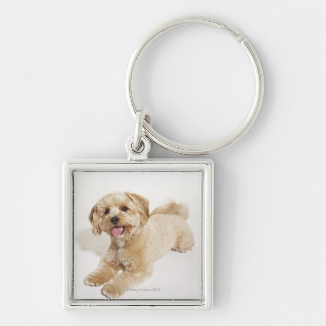 Llavero Perrito (familiaris del Canis) 2 (Frente)