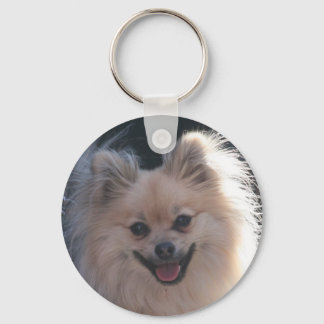 Llavero perrito flautista