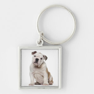 Llavero Perrito inglés del bulldog (2 meses)