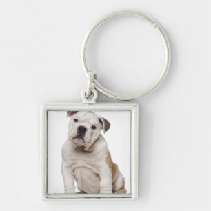 Llavero Perrito inglés del bulldog (2 meses)