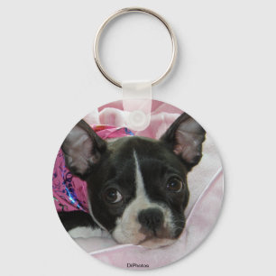 Llavero Perrito lindo de Boston Terrier