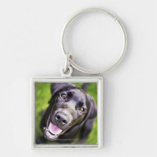 Llavero Perrito negro de Labrador que mira hacia arriba,