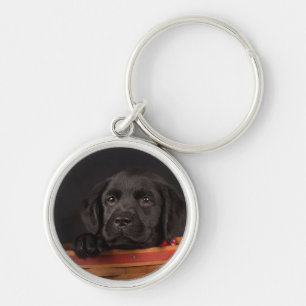 Llavero Perrito negro del labrador retriever en una cesta