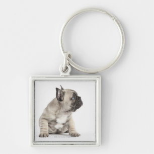Llavero Perrito pedigrí