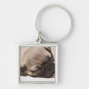 Llavero Perrito que duerme a fondo
