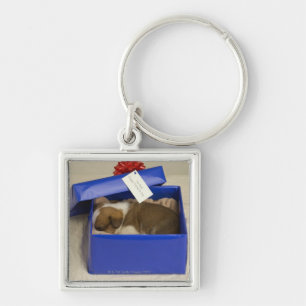 Llavero Perrito que duerme en una caja de regalo