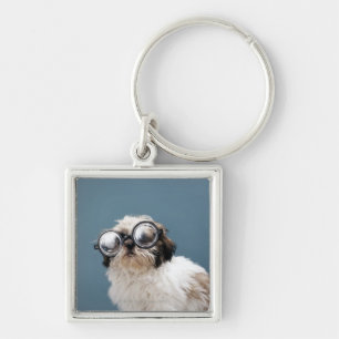 Llavero Perrito que lleva los vidrios gruesos