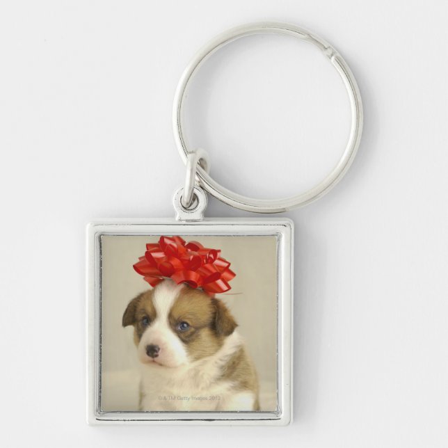 Llavero Perrito que lleva un arco rojo (Frente)