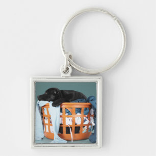 Llavero Perrito que miente en cesta de lavadero