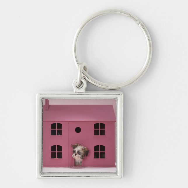 Llavero Perrito que mira fuera de la casa de muñeca (Frente)