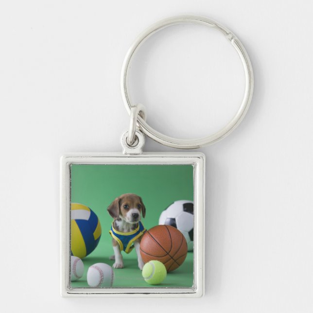 Llavero Perrito rodeado por las bolas del deporte (Frente)