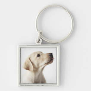 Llavero Perrito rubio de Labrador que pega hacia fuera la