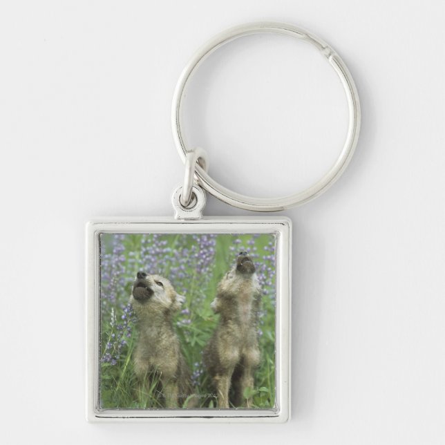 Llavero Perritos de lobo que gritan en prado (Frente)