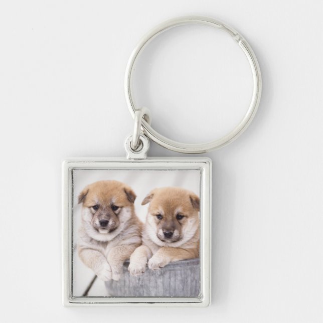 Llavero Perritos de Shiba Inu en la tina de aluminio (Frente)