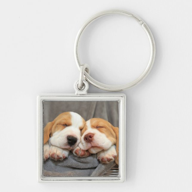 Llavero Perritos soñolientos (Frente)