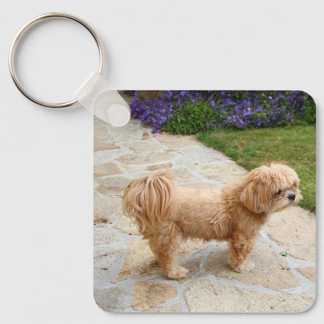 Llavero Perro Apso Red Lhasa (Anverso)