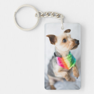 Llavero Perro arco iris del orgullo gay  Yorkshire Terrier