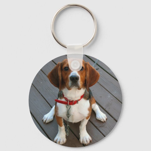 Llavero Perro Beagle Cutest (Anverso)