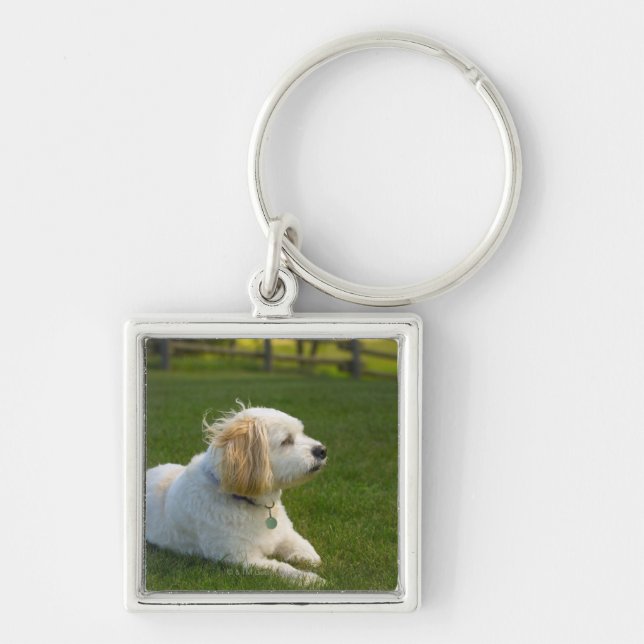 Llavero Perro blanco (Frente)