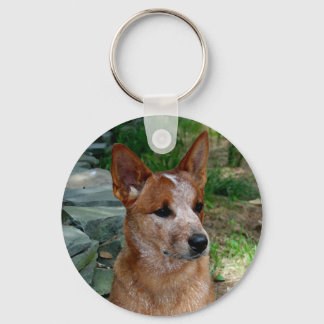 Llavero Perro bovino