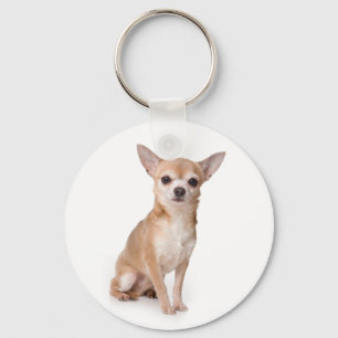 Llavero Perro Cachorro Chihuahua Amor