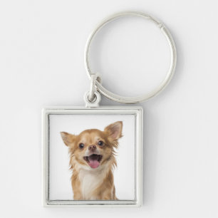 Llavero Perro Cachorro Chihuahua De Pelo Largo