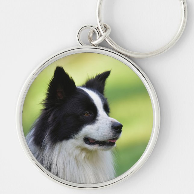 Llavero Perro collie de borde blanco y negro (Frente)