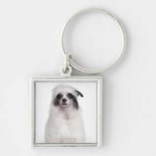 Llavero Perro con cresta chino (7 meses)