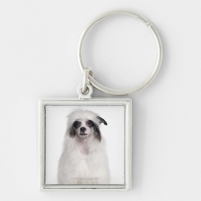 Llavero Perro con cresta chino (7 meses) (Frente)