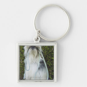 Llavero Perro con el correo en boca