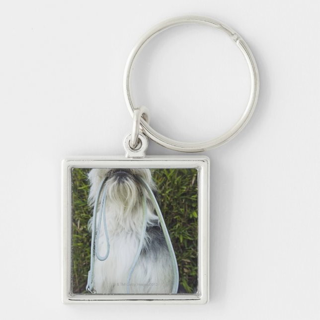 Llavero Perro con el correo en boca (Frente)